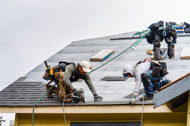 Professional Roofing technician working in La Crosse, IN